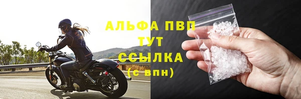 гидра Богданович
