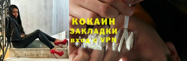 гидра Богданович