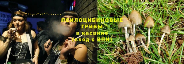 гидра Богданович