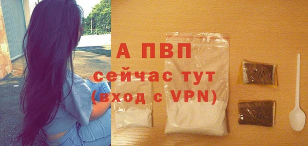 гидра Богданович