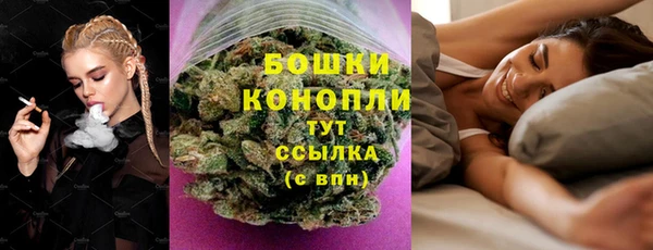 гидра Богданович